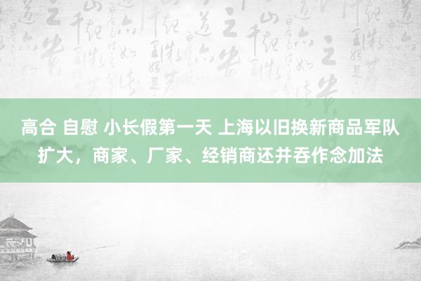 高合 自慰 小长假第一天 上海以旧换新商品军队扩大，商家、厂家、经销商还并吞作念加法