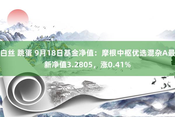 白丝 跳蛋 9月18日基金净值：摩根中枢优选混杂A最新净值3.2805，涨0.41%