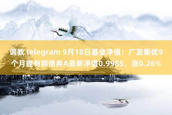 调教 telegram 9月18日基金净值：广发集优9个月握有期债券A最新净值0.9985，涨0.26%