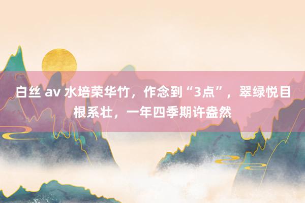 白丝 av 水培荣华竹，作念到“3点”，翠绿悦目根系壮，一年四季期许盎然