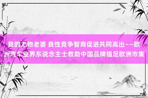 我的尤物老婆 良性竞争智商促进共同高出——欧洲汽车业界东说念主士救助中国品牌插足欧洲市集