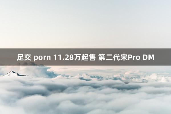 足交 porn 11.28万起售 第二代宋Pro DM