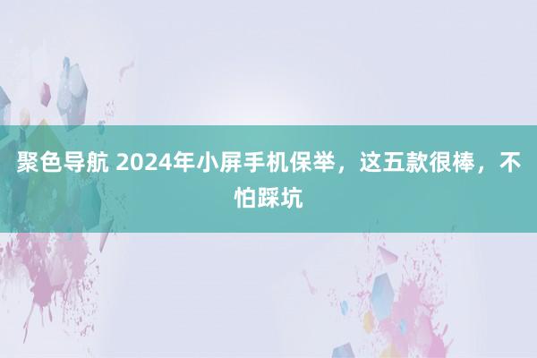 聚色导航 2024年小屏手机保举，这五款很棒，不怕踩坑