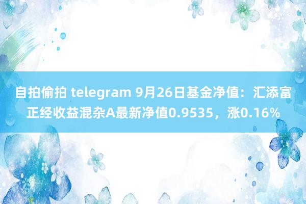 自拍偷拍 telegram 9月26日基金净值：汇添富正经收益混杂A最新净值0.9535，涨0.16%