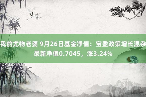 我的尤物老婆 9月26日基金净值：宝盈政策增长混杂最新净值0.7045，涨3.24%