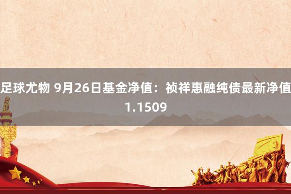 足球尤物 9月26日基金净值：祯祥惠融纯债最新净值1.1509