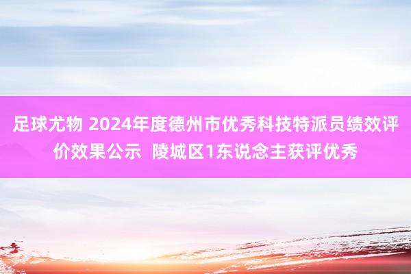 足球尤物 2024年度德州市优秀科技特派员绩效评价效果公示  陵城区1东说念主获评优秀