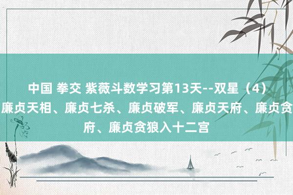 中国 拳交 紫薇斗数学习第13天--双星（4）天同天梁、廉贞天相、廉贞七杀、廉贞破军、廉贞天府、廉贞贪狼入十二宫