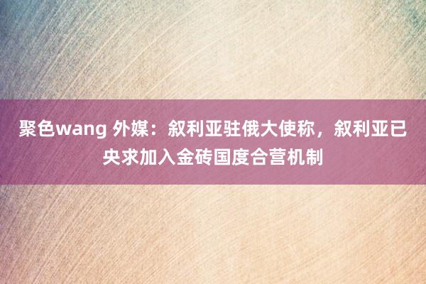 聚色wang 外媒：叙利亚驻俄大使称，叙利亚已央求加入金砖国度合营机制