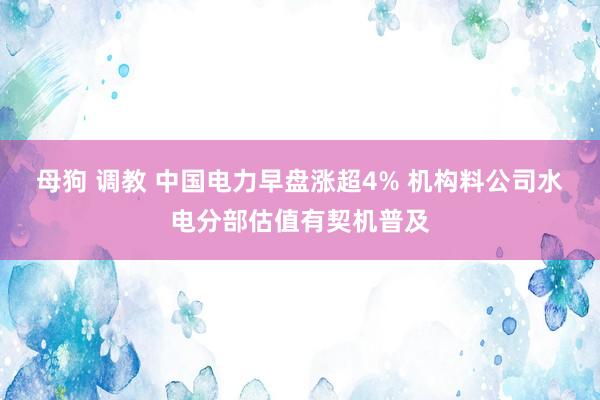 母狗 调教 中国电力早盘涨超4% 机构料公司水电分部估值有契机普及