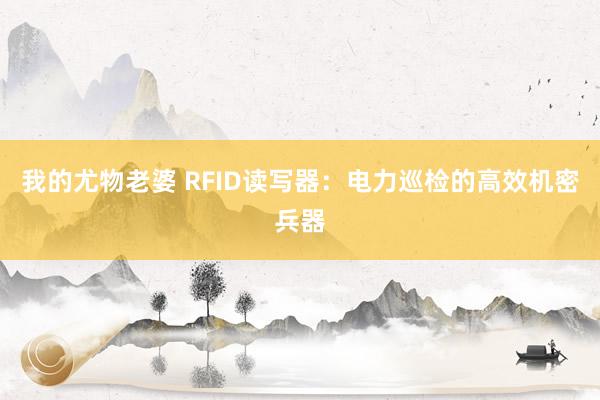 我的尤物老婆 RFID读写器：电力巡检的高效机密兵器