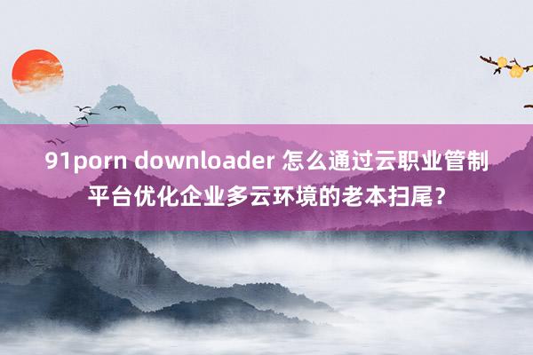 91porn downloader 怎么通过云职业管制平台优化企业多云环境的老本扫尾？