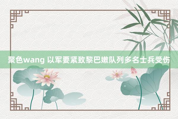 聚色wang 以军要紧致黎巴嫩队列多名士兵受伤