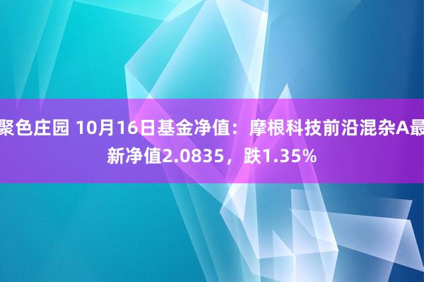 聚色庄园 10月16日基金净值：摩根科技前沿混杂A最新净值2.0835，跌1.35%