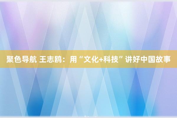 聚色导航 王志鸥：用“文化+科技”讲好中国故事