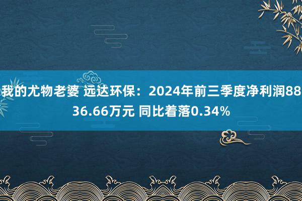 我的尤物老婆 远达环保：2024年前三季度净利润8836.66万元 同比着落0.34%