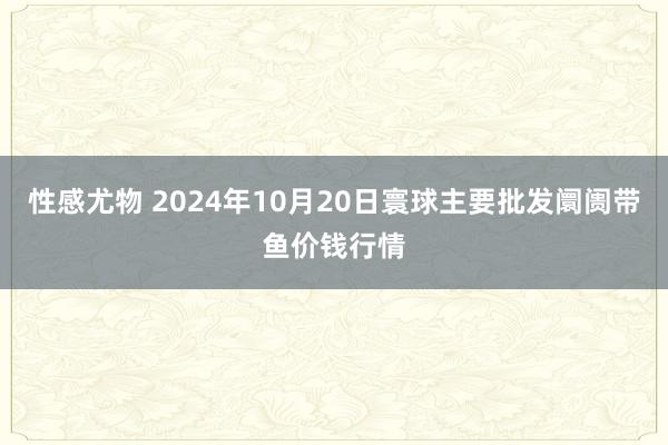 性感尤物 2024年10月20日寰球主要批发阛阓带鱼价钱行情