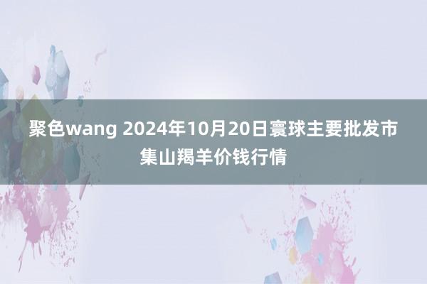 聚色wang 2024年10月20日寰球主要批发市集山羯羊价钱行情