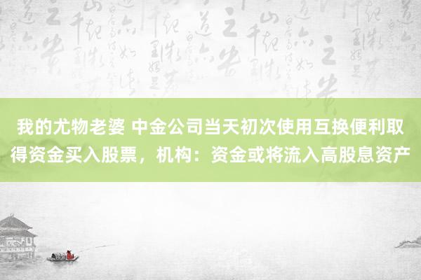 我的尤物老婆 中金公司当天初次使用互换便利取得资金买入股票，机构：资金或将流入高股息资产