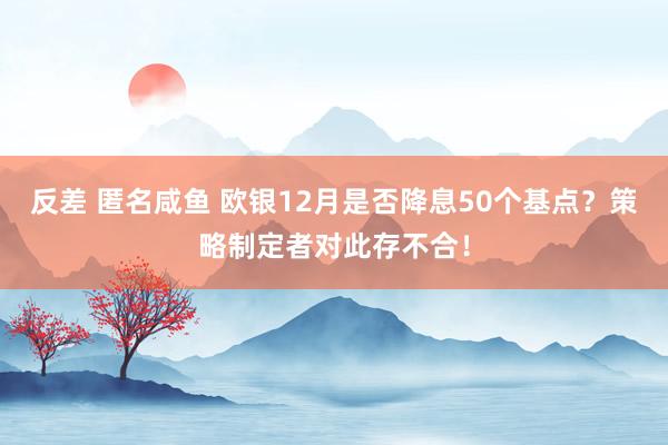 反差 匿名咸鱼 欧银12月是否降息50个基点？策略制定者对此存不合！