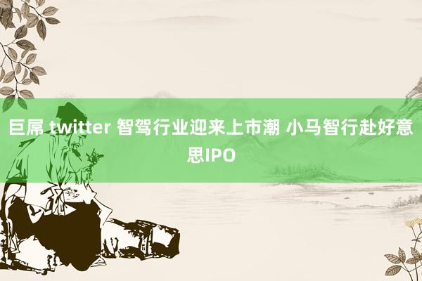 巨屌 twitter 智驾行业迎来上市潮 小马智行赴好意思IPO