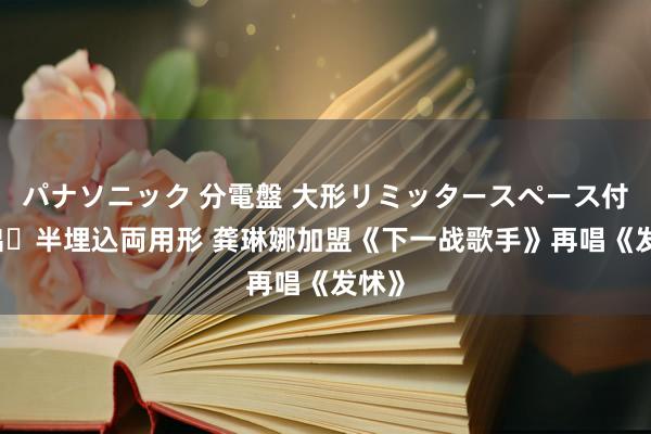 パナソニック 分電盤 大形リミッタースペース付 露出・半埋込両用形 龚琳娜加盟《下一战歌手》再唱《发怵》