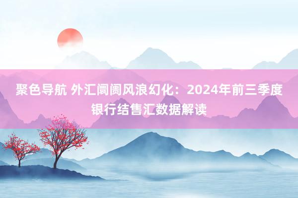 聚色导航 外汇阛阓风浪幻化：2024年前三季度银行结售汇数据解读