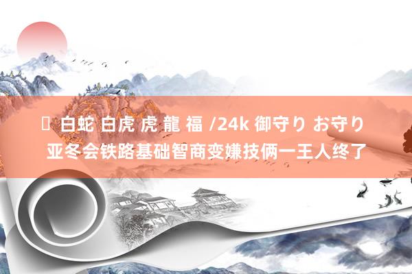 ✨白蛇 白虎 虎 龍 福 /24k 御守り お守り 亚冬会铁路基础智商变嫌技俩一王人终了