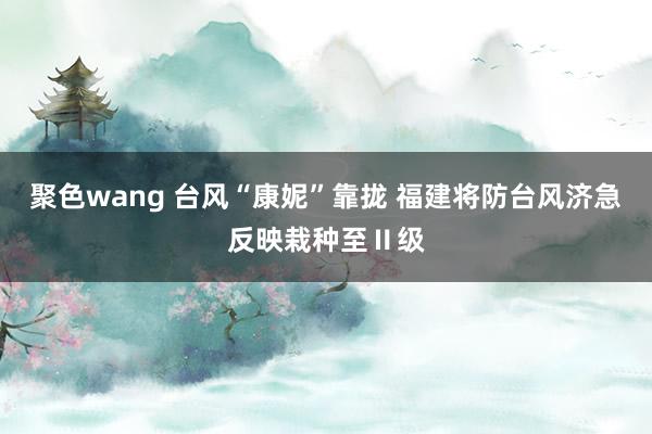 聚色wang 台风“康妮”靠拢 福建将防台风济急反映栽种至Ⅱ级