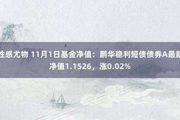 性感尤物 11月1日基金净值：鹏华稳利短债债券A最新净值1.1526，涨0.02%