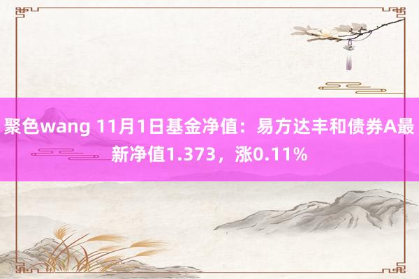 聚色wang 11月1日基金净值：易方达丰和债券A最新净值1.373，涨0.11%