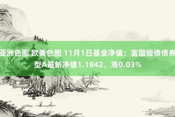 亚洲色图 欧美色图 11月1日基金净值：富国短债债券型A最新净值1.1842，涨0.03%