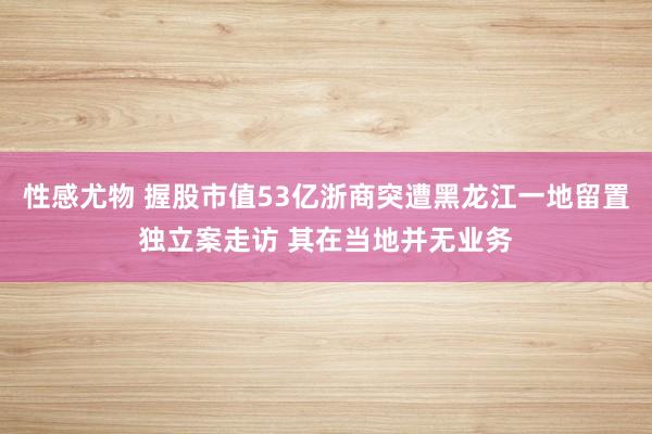 性感尤物 握股市值53亿浙商突遭黑龙江一地留置独立案走访 其在当地并无业务