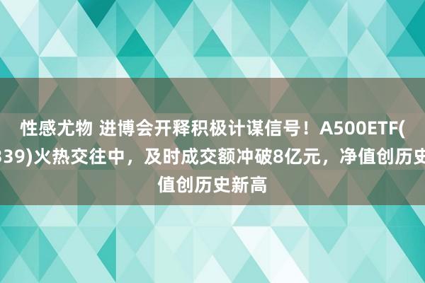 性感尤物 进博会开释积极计谋信号！A500ETF(159339)火热交往中，及时成交额冲破8亿元，净值创历史新高