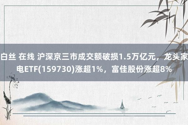 白丝 在线 沪深京三市成交额破损1.5万亿元，龙头家电ETF(159730)涨超1%，富佳股份涨超8%