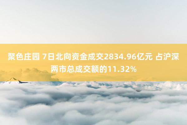 聚色庄园 7日北向资金成交2834.96亿元 占沪深两市总成交额的11.32%