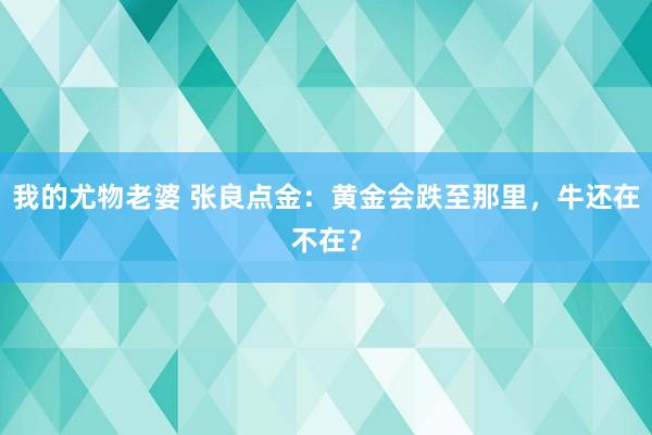 我的尤物老婆 张良点金：黄金会跌至那里，牛还在不在？